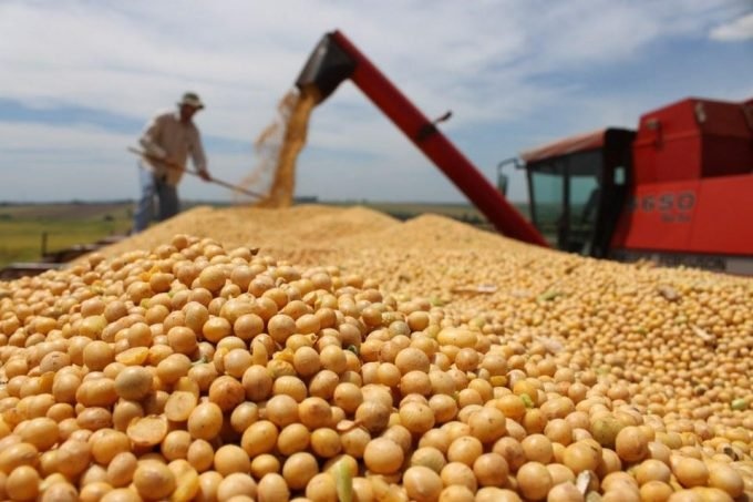 Ladrões invadem fazenda, colhem soja e levam quase R$ 1 milhão em grãos