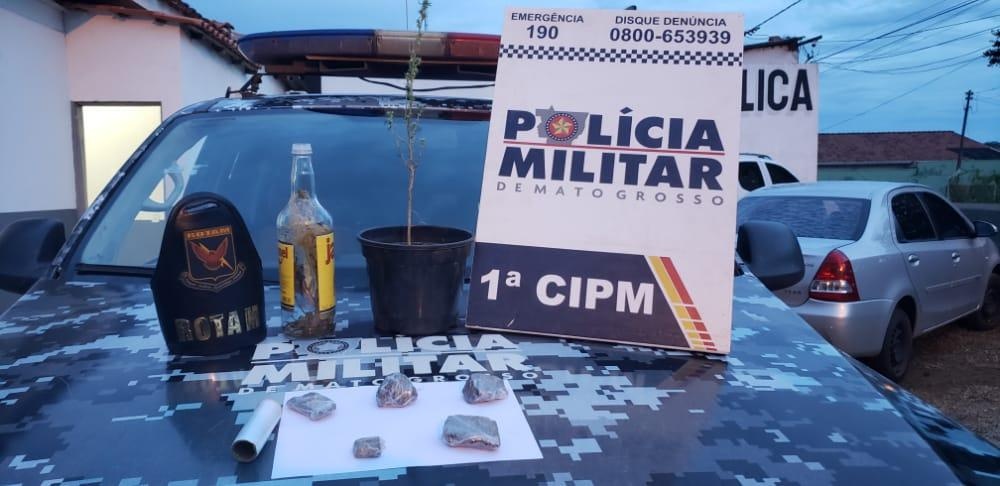 Patrulhamento da PM flagra suspeitos com plantas de cannabis e porções de maconha