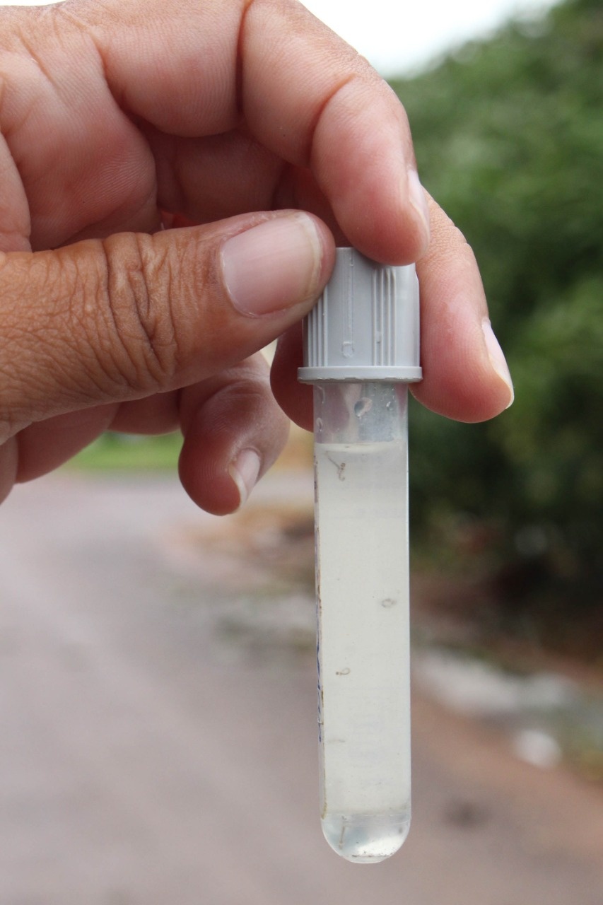 Índice de infestação do Aedes Aegypti diminui em Sinop