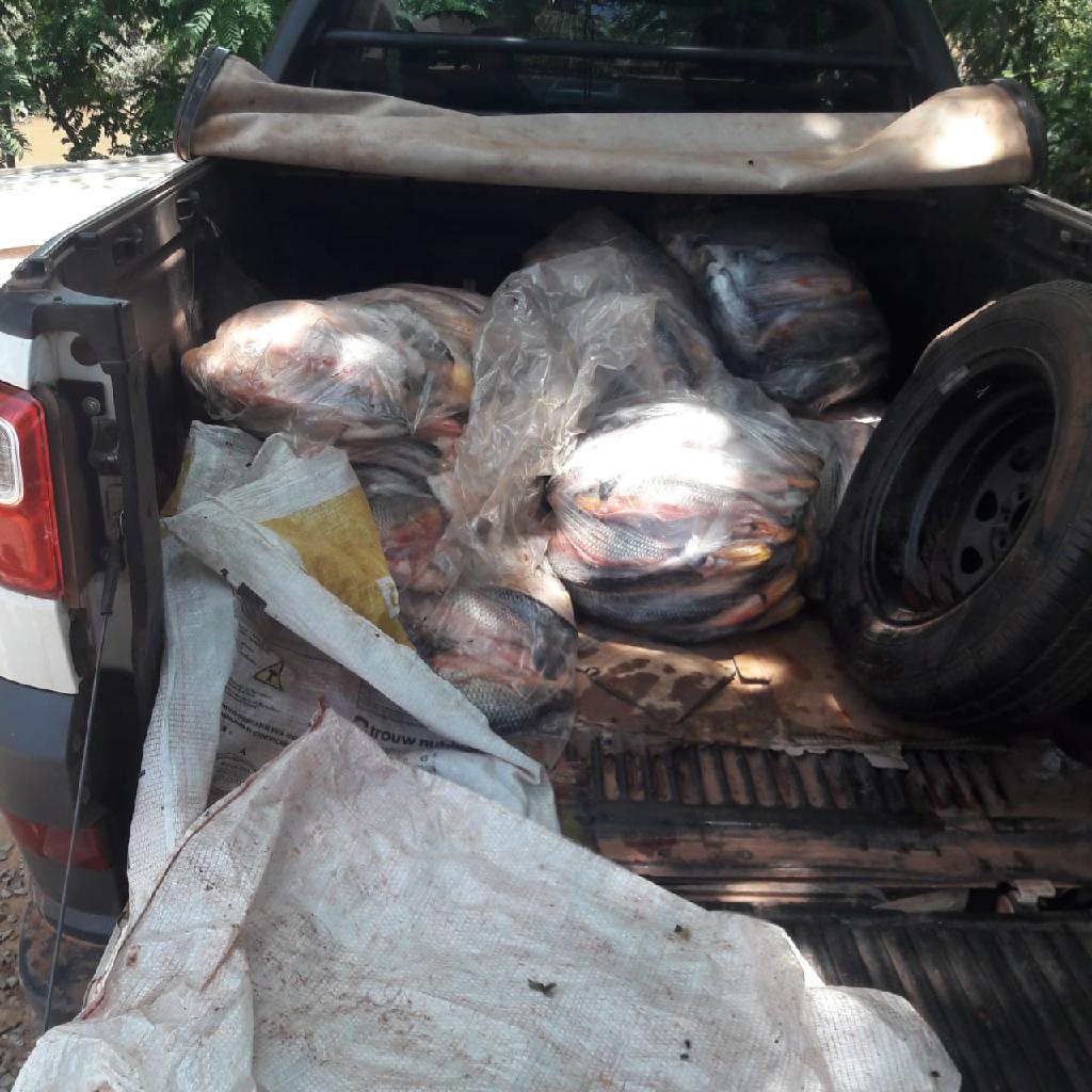 Policiais militares apreendem 126 quilos de pescado irregular