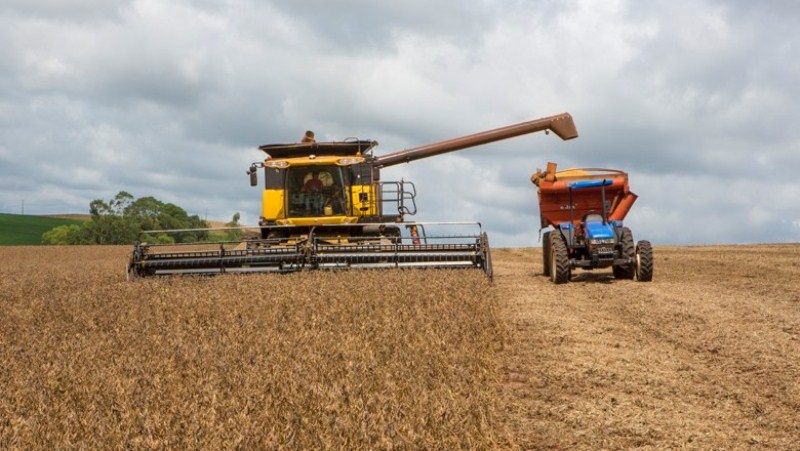 Colheita da soja atinge 52% em Mato Grosso