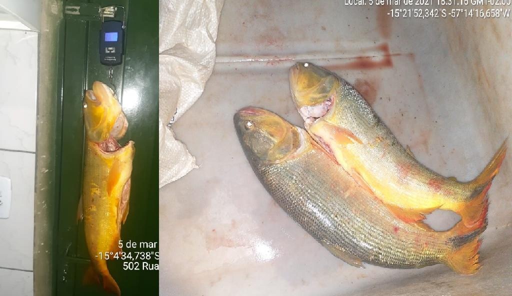 Batalhão Ambiental encontra homens com pescado proibido e aplica multa de R$ 10 mil