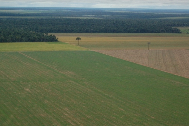 Parceria vai agilizar análise do Cadastro Ambiental Rural