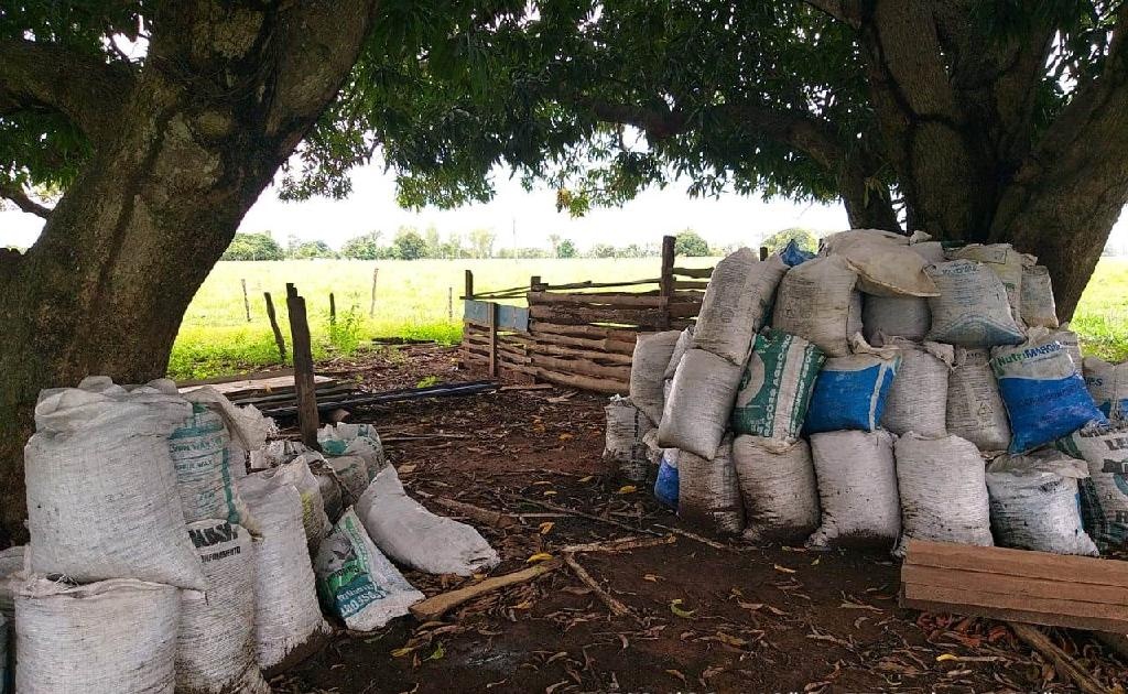 Fábrica ilegal de carvão de coco de babaçu é fechada pela PM