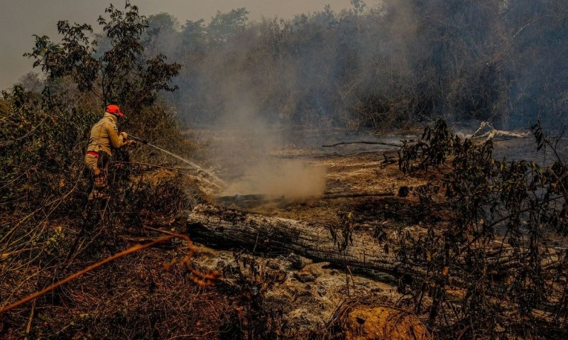 Pesquisadores de Sinop criam “radar” para detectar fogo no Pantanal