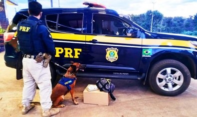 PRF prende homem transportando droga em ônibus
