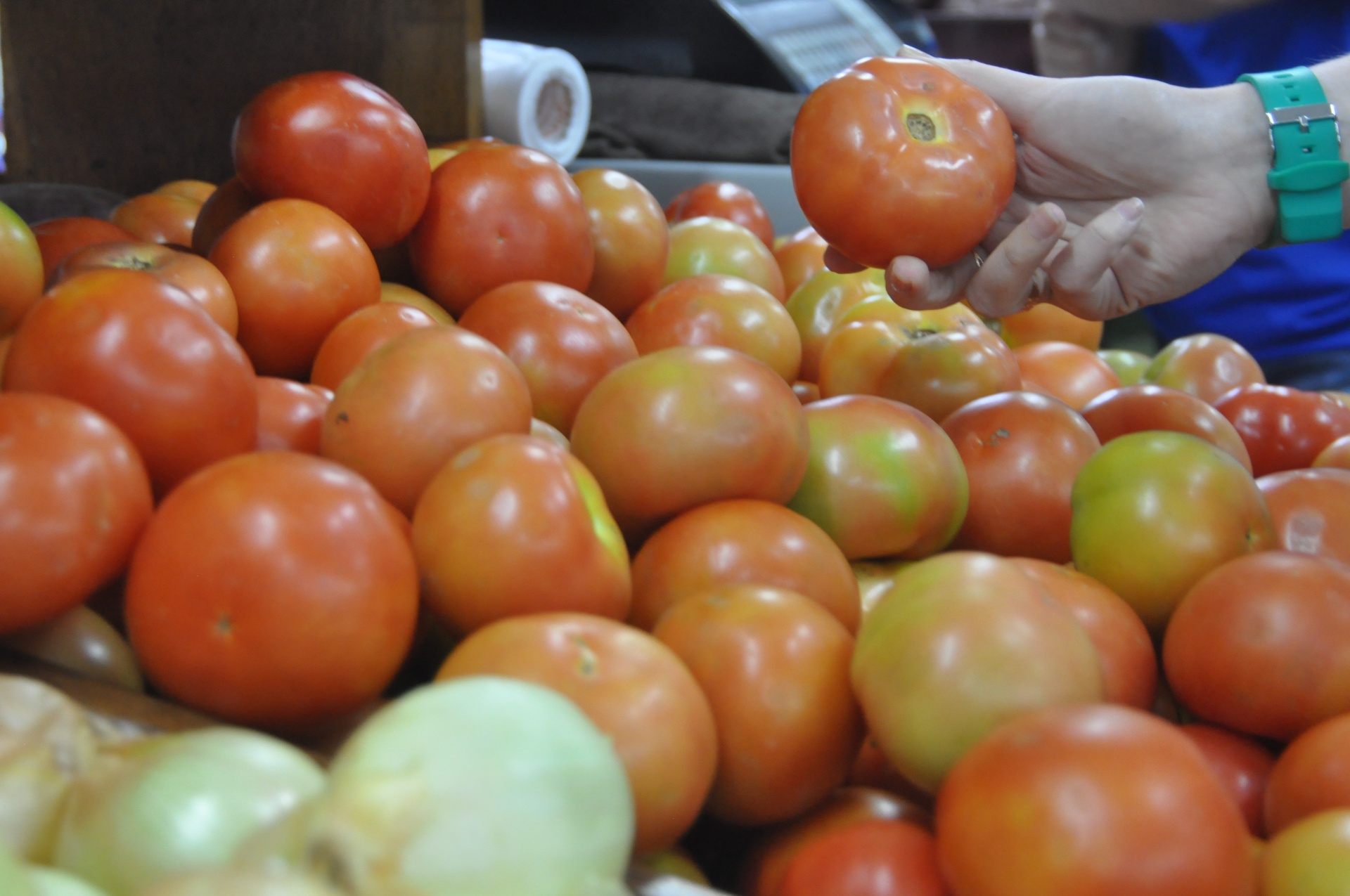 Preço da batata, tomate e banana deve cair em MT, prevê Imea