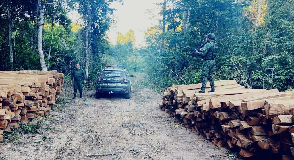 Batalhão Ambiental encaminha homem à Delegacia após flagrante de extração ilegal de madeira