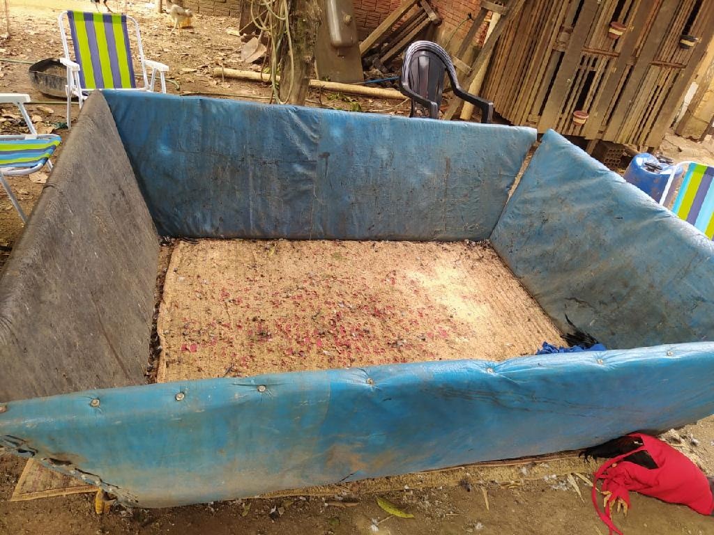 PM prende sete pessoas e resgata 25 animais em rinha de galo no interior