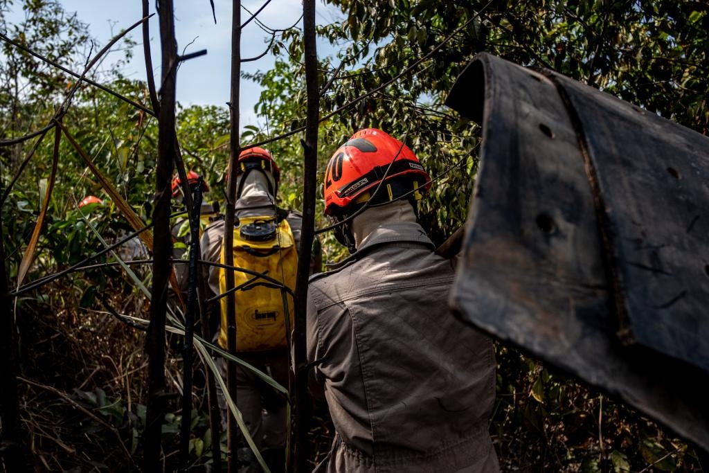 Mato Grosso reduz 85,8% focos de calor no Pantanal