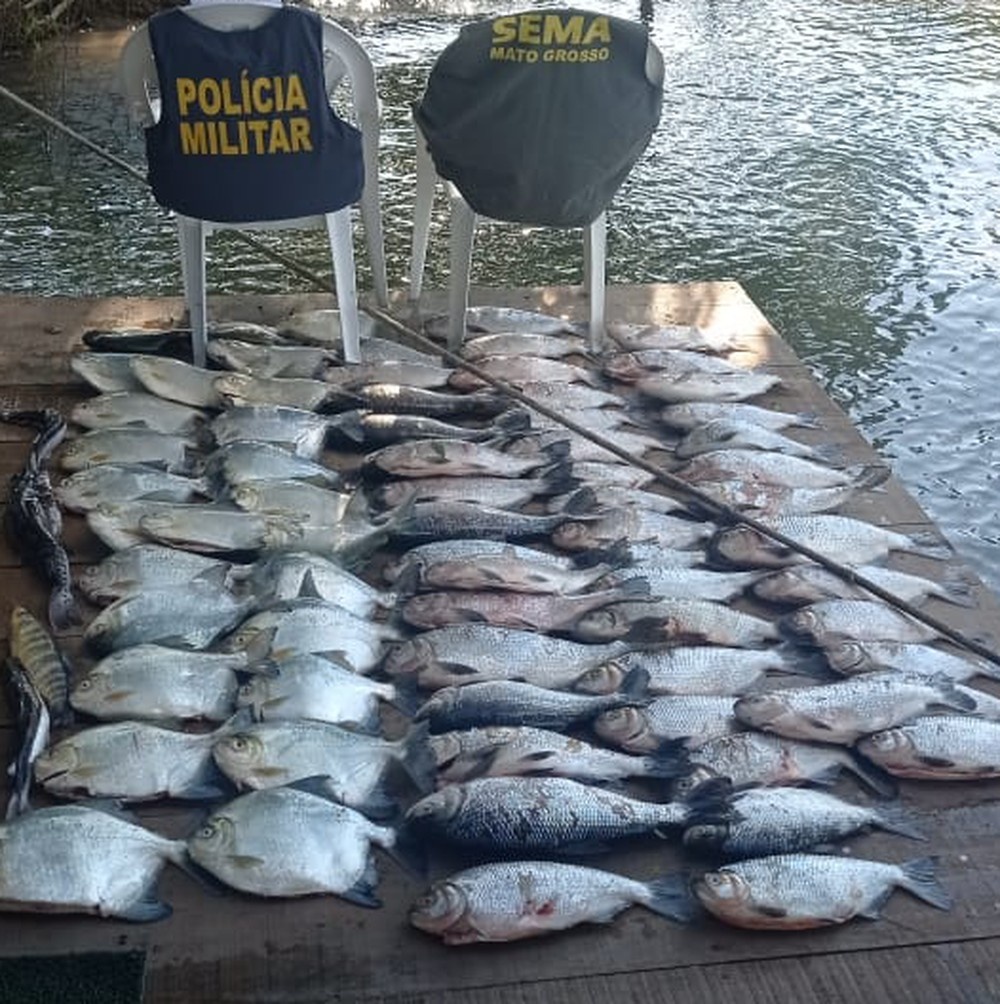 Operação contra pesca predatória apreende 183 kg de pescado na região de Sinop