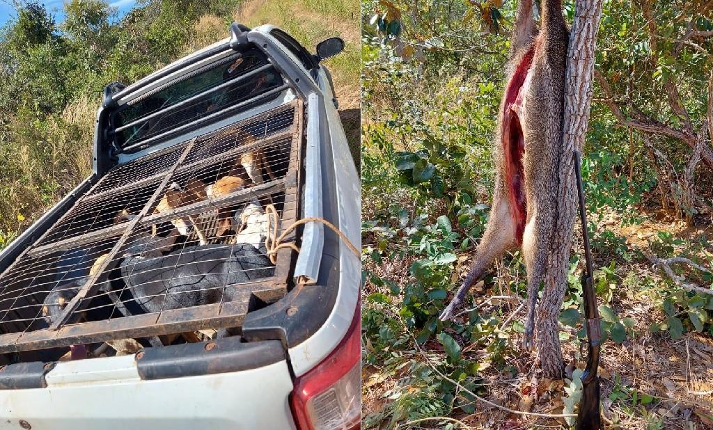 Policiais encontram cateto abatido e seis cães em gaiola