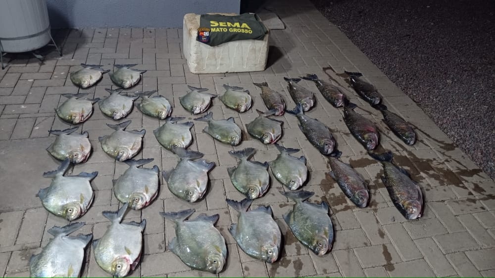 Homens são presos por pesca predatória ao serem flagrados com peixes e barco em Sinop