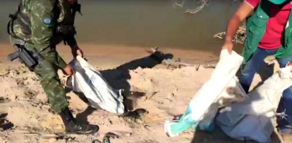 Batalhão Ambiental e Sema resgatam 24 tartarugas na Região do Araguaia