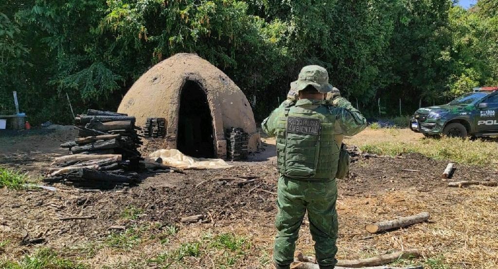 Batalhão Ambiental fecha carvoaria ilegal e apreende três toneladas de carvão
