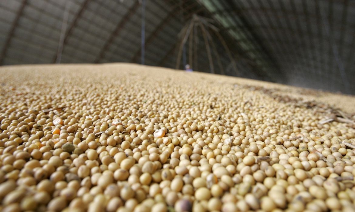 Mato Grosso lidera safra no país com 27,4% da produção; ano será de recorde