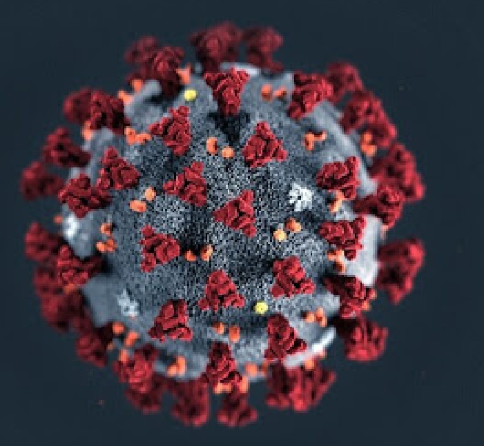 A pandemia do novo coronavírus não acabou