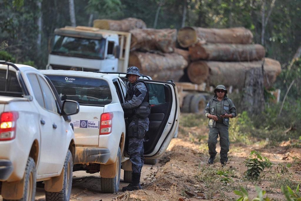 Municípios que mais desmatam são principais alvos da Operação Amazônia