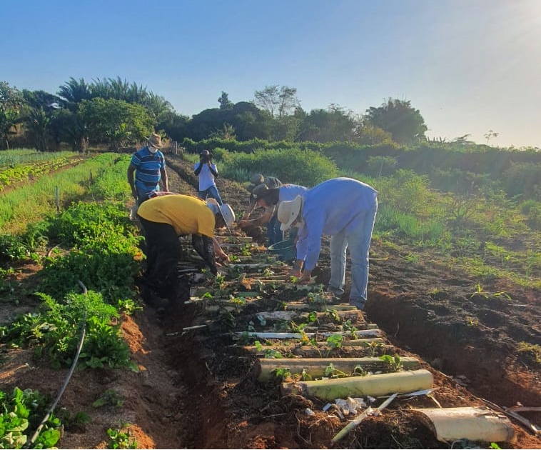 Projeto incentiva produção agroecológica em comunidades rurais