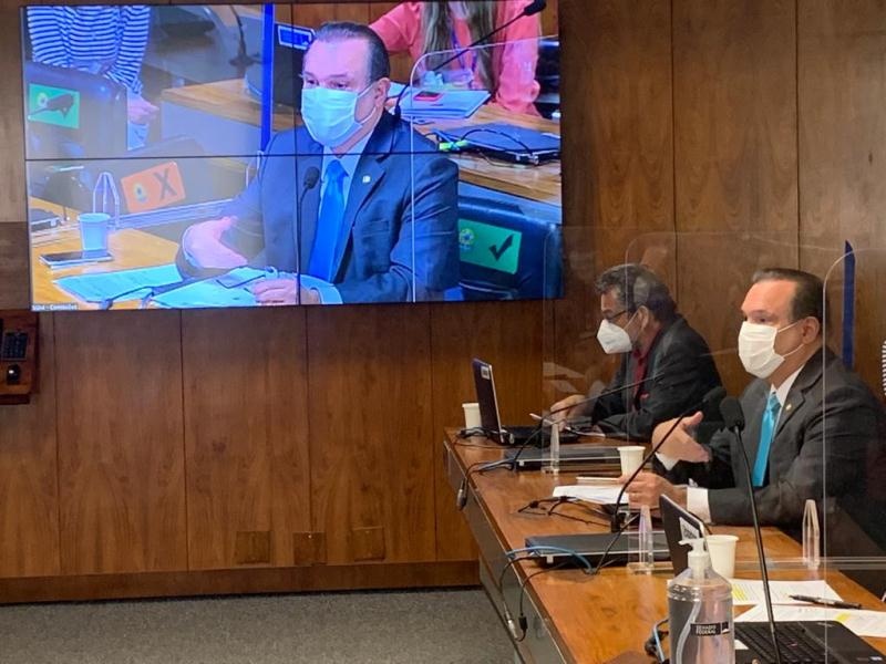 Senado cria Subcomissão para debater riscos ao Pantanal