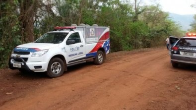 Trabalhador rural é atingido por árvore e morre