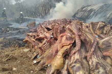 Carreta com carne tomba e pega fogo em rodovia de Mato Grosso