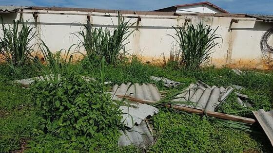 Vendaval danifica aviários e causa prejuízo em propriedade rural