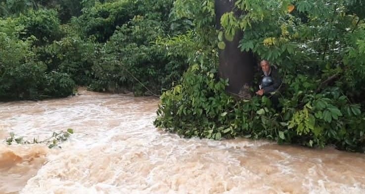 Motociclista é arrastado por leito de rio que invade estrada e fica isolado em árvore
