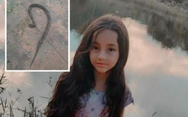 Criança morre após ser picada por cobra