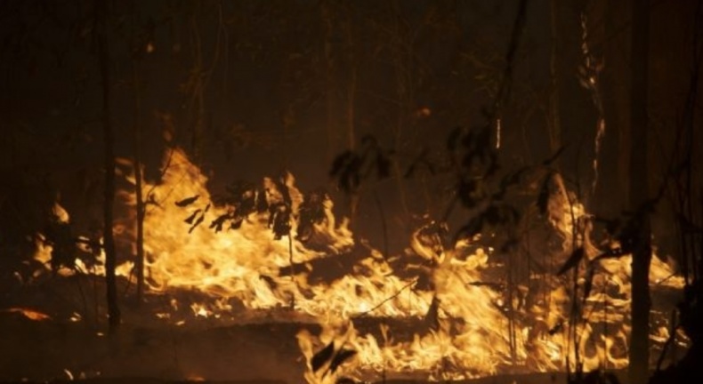 Fazendeiro que destruiu mais de 400 hectares de floresta nativa tem multa de R$ 10 milhões anistiada