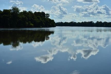 Avião cai na divisa entre Mato Grosso e Pará; ribeirinho salva ocupantes