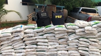 PC apreende 19 toneladas de agrotóxicos contrabandeados em MT