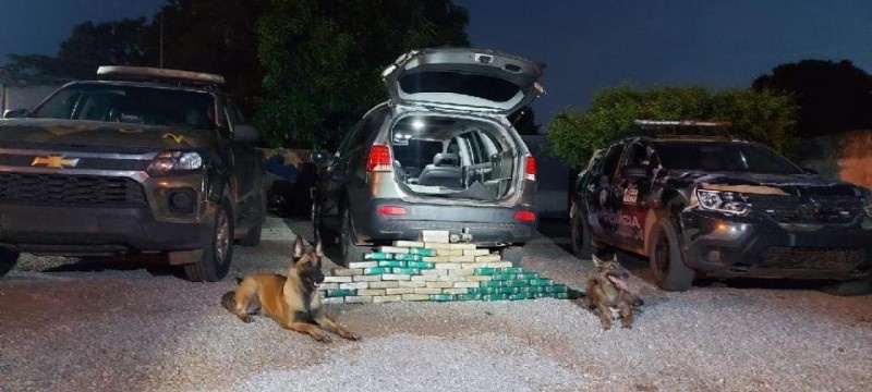 Gefron apreende 67 kg de cocaína e recupera veículos roubados
