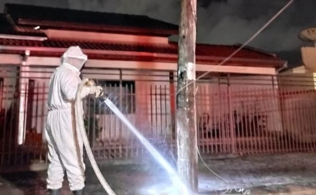 Sinop: Bombeiros são acionados para realizar combate de infestação de abelhas