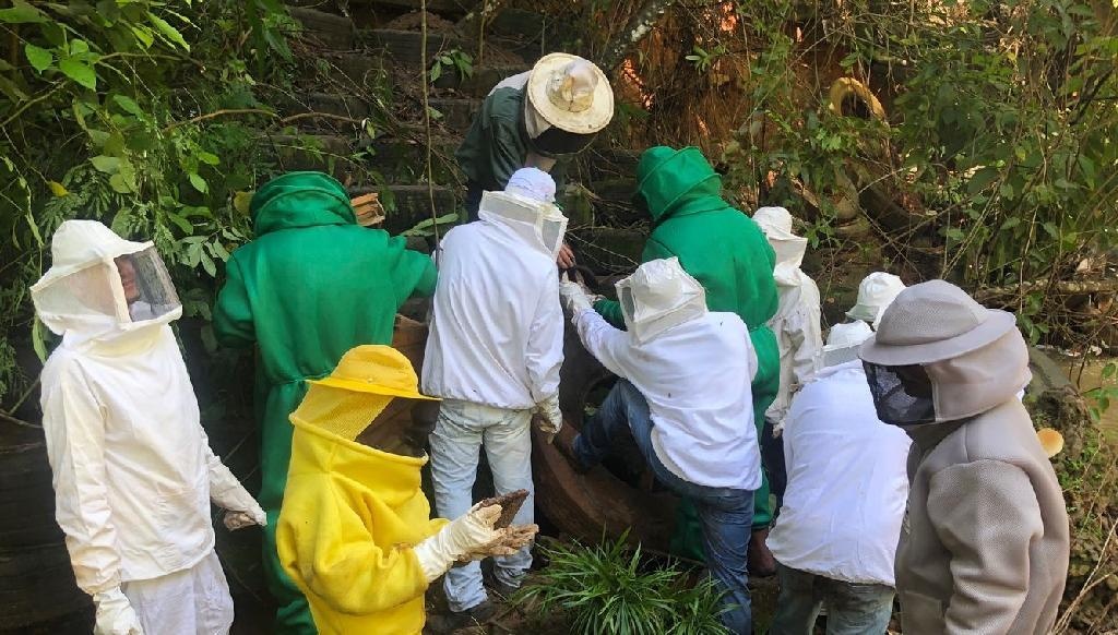 Reeducandos de Sorriso se formam em cursos de apicultura e reaproveitamento de madeira