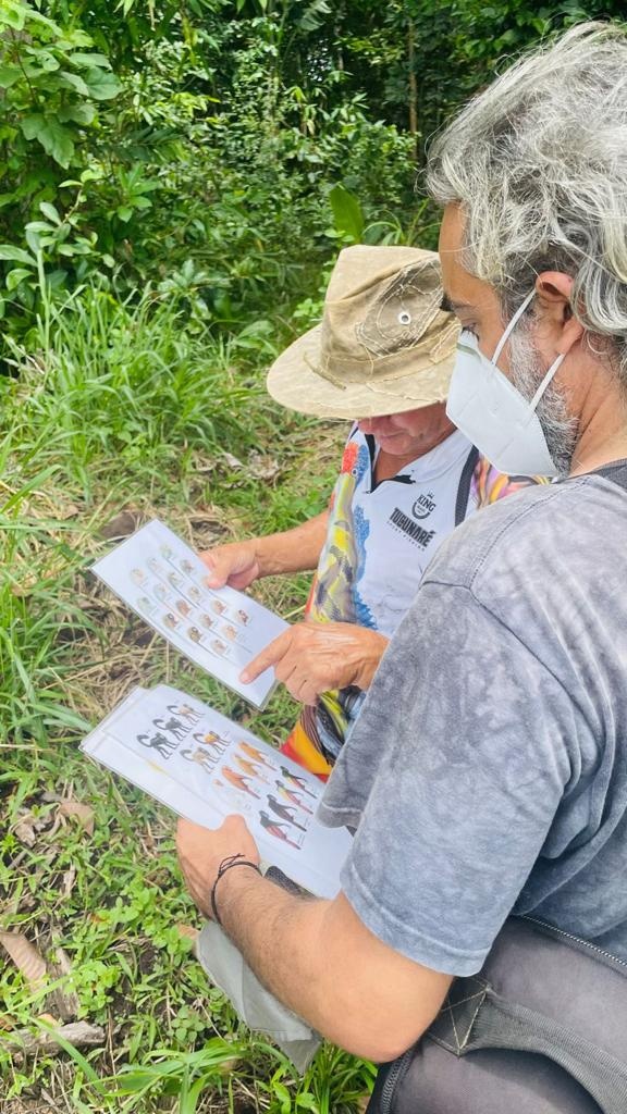 Espécies raras de primatas são foco de projeto para o desenvolvimento do turismo