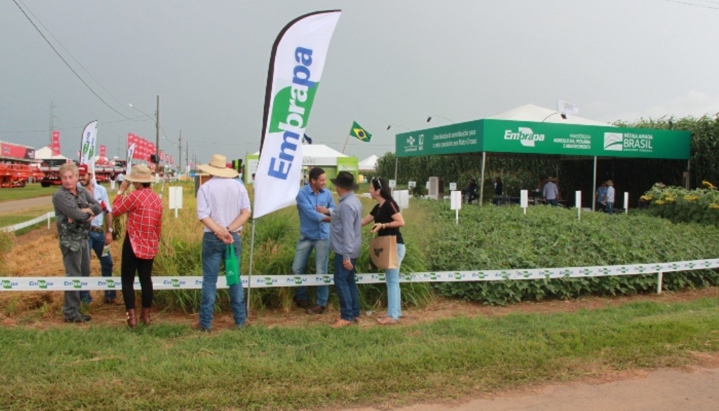 Embrapa e parceiros levam novidades para sistemas produtivos