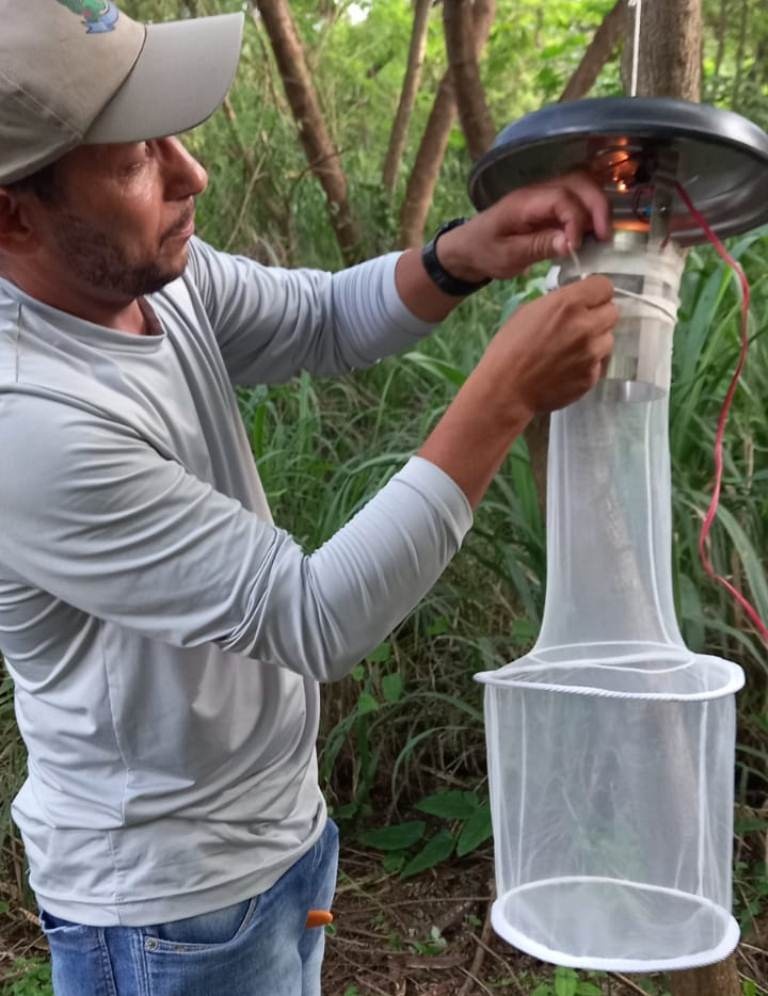 Agentes de combate às endemias fazem coleta de mosquitos para levantamento
