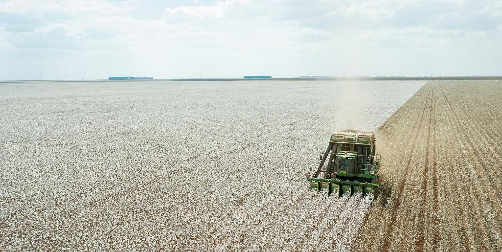 FCO disponibiliza R$ 320 milhões em crédito para setores empresarial e rural de Mato Grosso