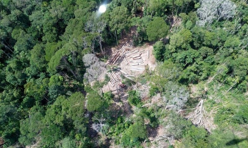 PF faz operação contra desmatamento em terra indígena