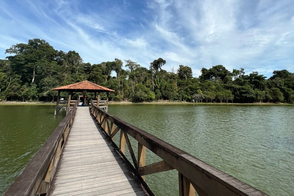 Parque Florestal: exuberância e riqueza natural em um só lugar