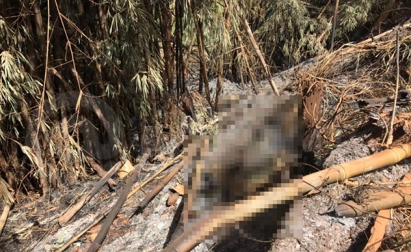 Casal é encontrado morto e carbonizado em Mato Grosso