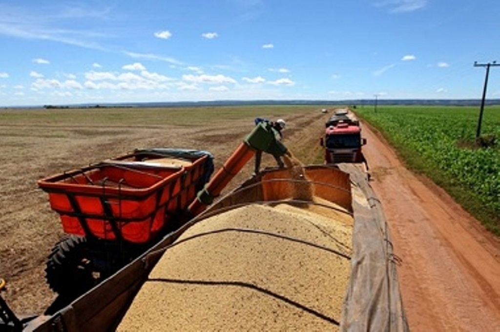 Ação em MT e MS visa coibir a subtração e desvio de fertilizantes