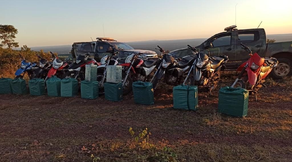 Gefron apreende 615 quilos de drogas na fronteira com a Bolívia