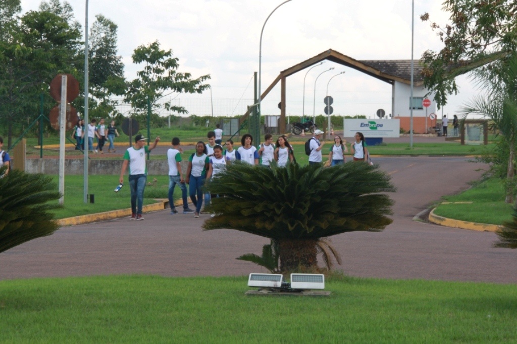 Embrapa Agrossilvipastoril voltará a receber visitas escolares na Semana do Meio Ambiente