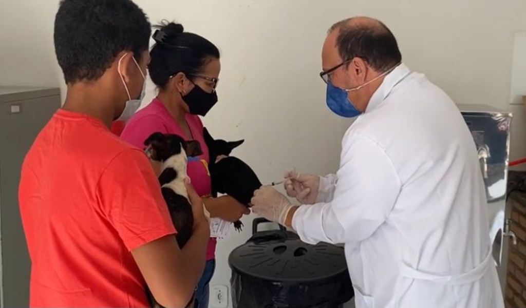 Vacinação itinerante antirrábica passa por 2 bairros nesta semana