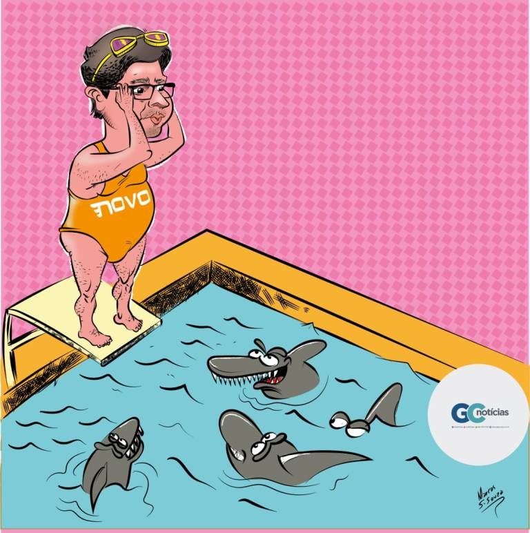 Mergulhando na campanha