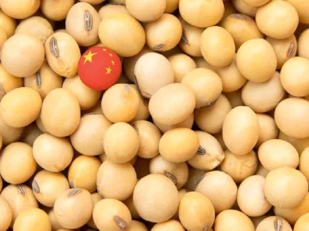 China diz que soja brasileira tem pouca qualidade e quer exigir mais