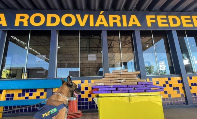 Polícia Rodoviária Federal apreende drogas em carga de ônibus