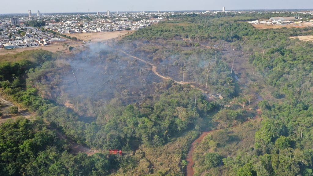 Após queimada destruir 12 hectares de reserva, prefeitura faz alerta sobre crime ambiental e avalia perdas